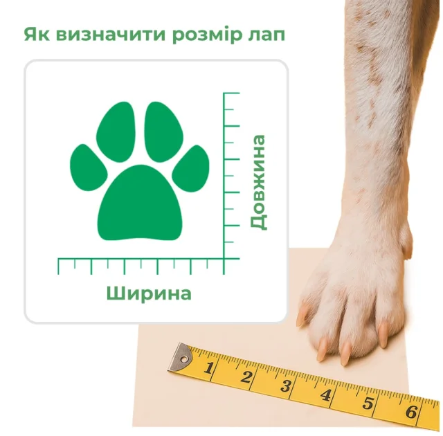 Шкарпетки Croci Stripes для собак, розмір XL, весна/осінь, 40×110 мм